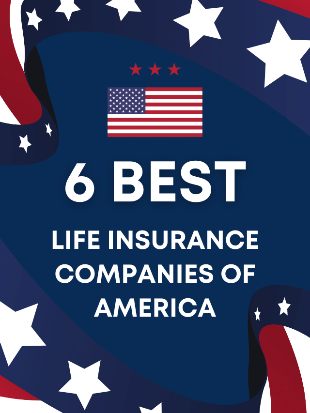 Large Life Insurance Companies In Usa