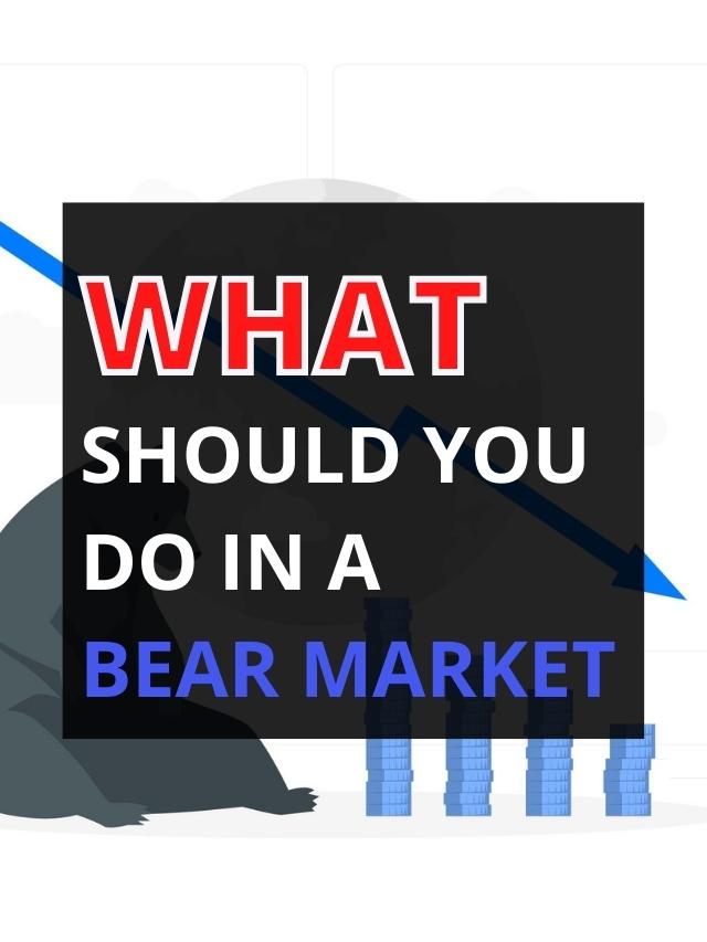 What Should You Do In A Bear Market? - Wealth Baba